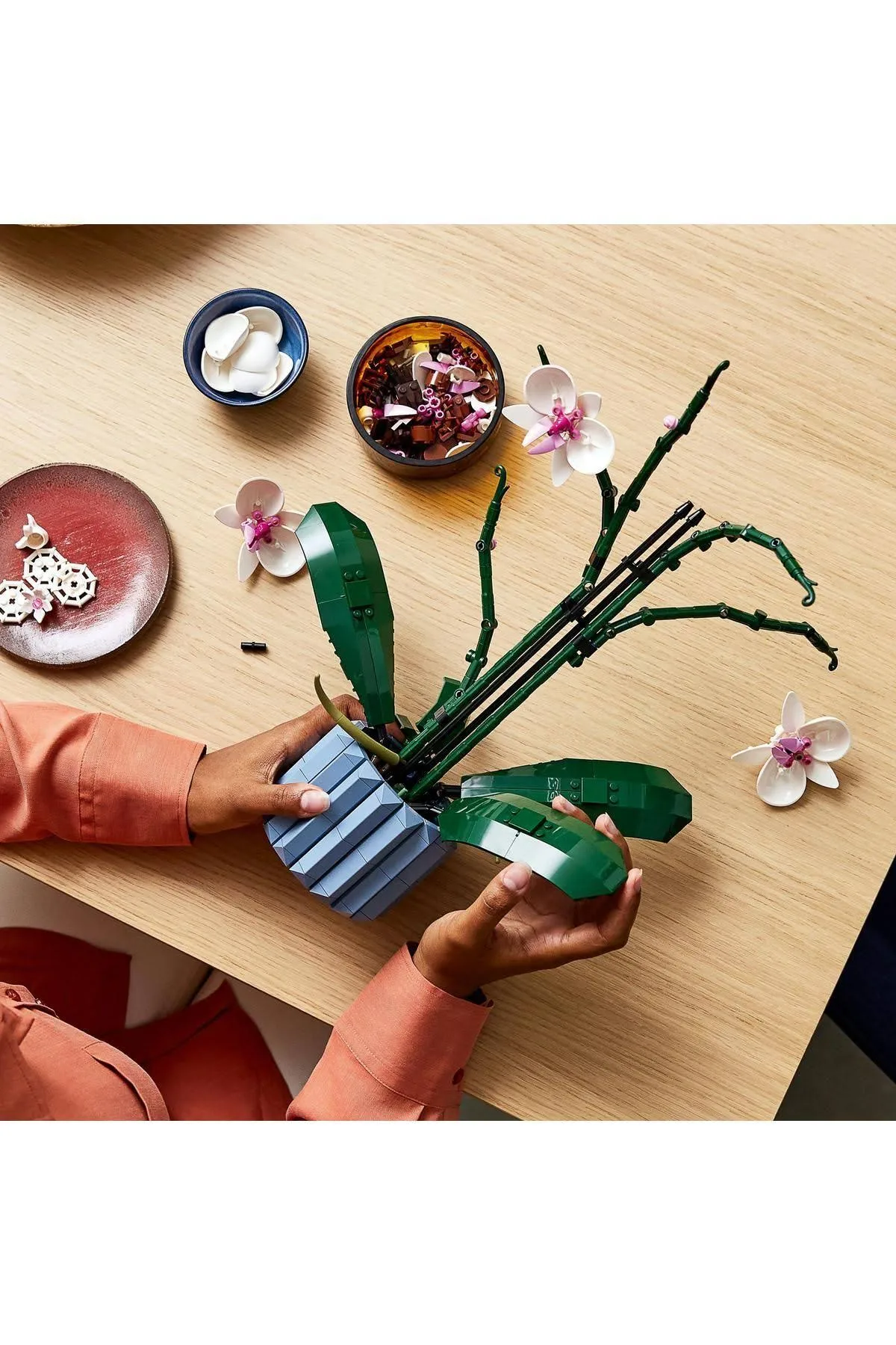 LEGO 10311 ICONS Orchidea