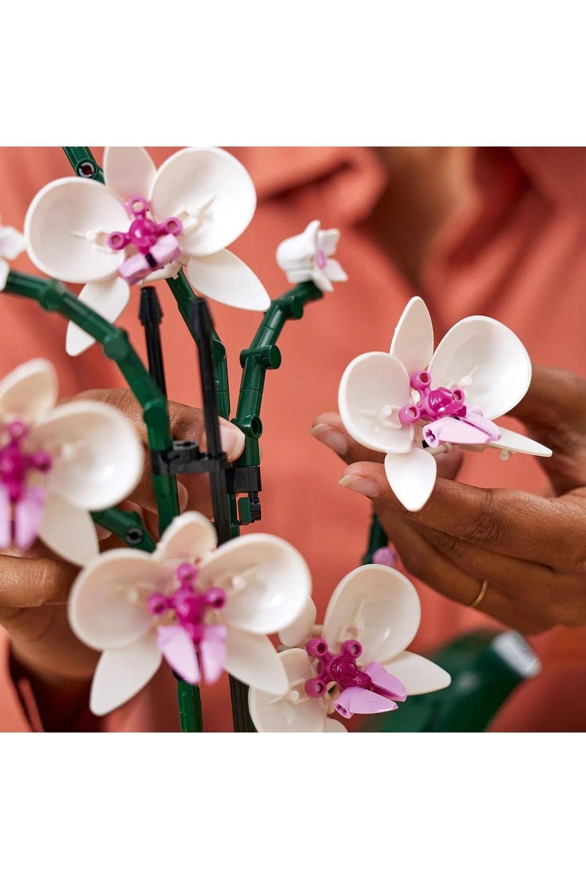 LEGO 10311 ICONS Orchidea